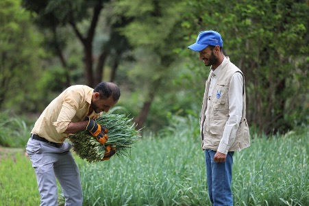 In Yemen, un membro del personale di Islamic Relief visita un agricoltore che partecipa a un programma di sostegno ai mezzi di sussistenza, pensato per aiutare le famiglie a ricostruire le proprie fonti di reddito e rafforzare la sicurezza alimentare.